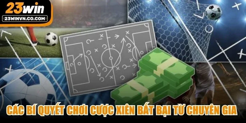 Các bí quyết chơi cược xiên bất bại từ chuyên gia cá độ hiệu quả nhất